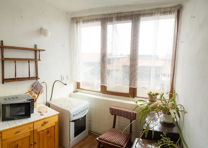 за гости божана