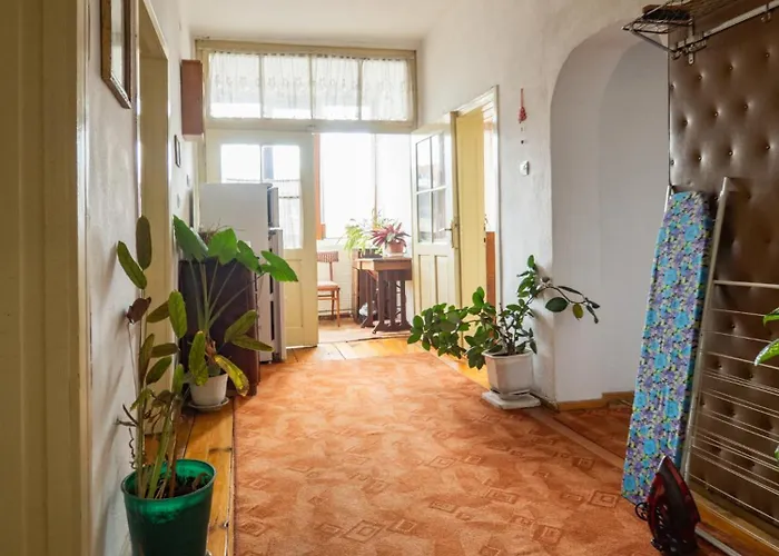 за гости божана *