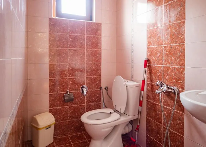 за гости божана